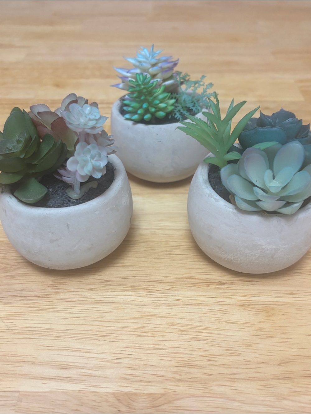 Faux Succulent Trio in Concrete Style Ceramic Pots - Set of 3